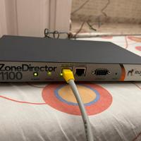 Rickus ZoneDirector 1100