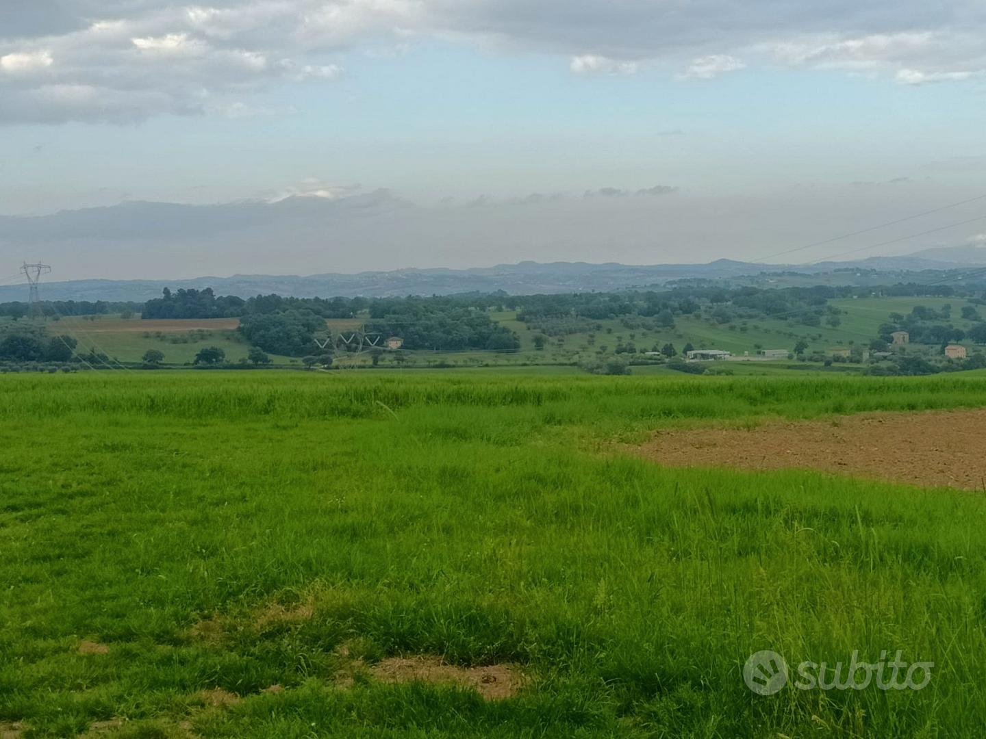 Terreno Agricolo a Treia - Vista 2