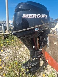 Motore fuoribordo Mercury 8 hp 4 tempi
