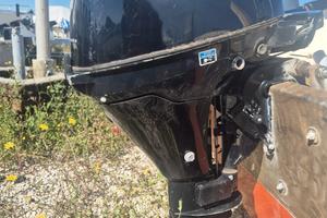 Motore fuoribordo Mercury 8 hp 4 tempi