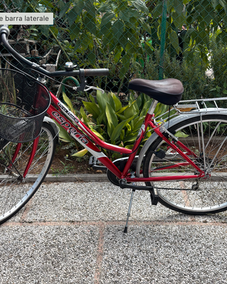 Bicicletta Esperia Pro Race
