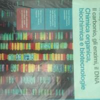 Il carbonio, gli enzimi, il DNA. 