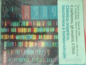 Il carbonio, gli enzimi, il DNA. 