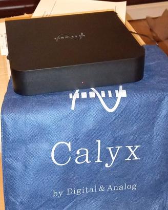 DAC Audiophile Calyx 24/192