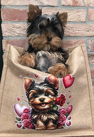 Cucciolo yorkshire terrier maschietto