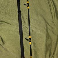 Canna da pesca al siluro