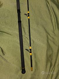 Canna da pesca al siluro