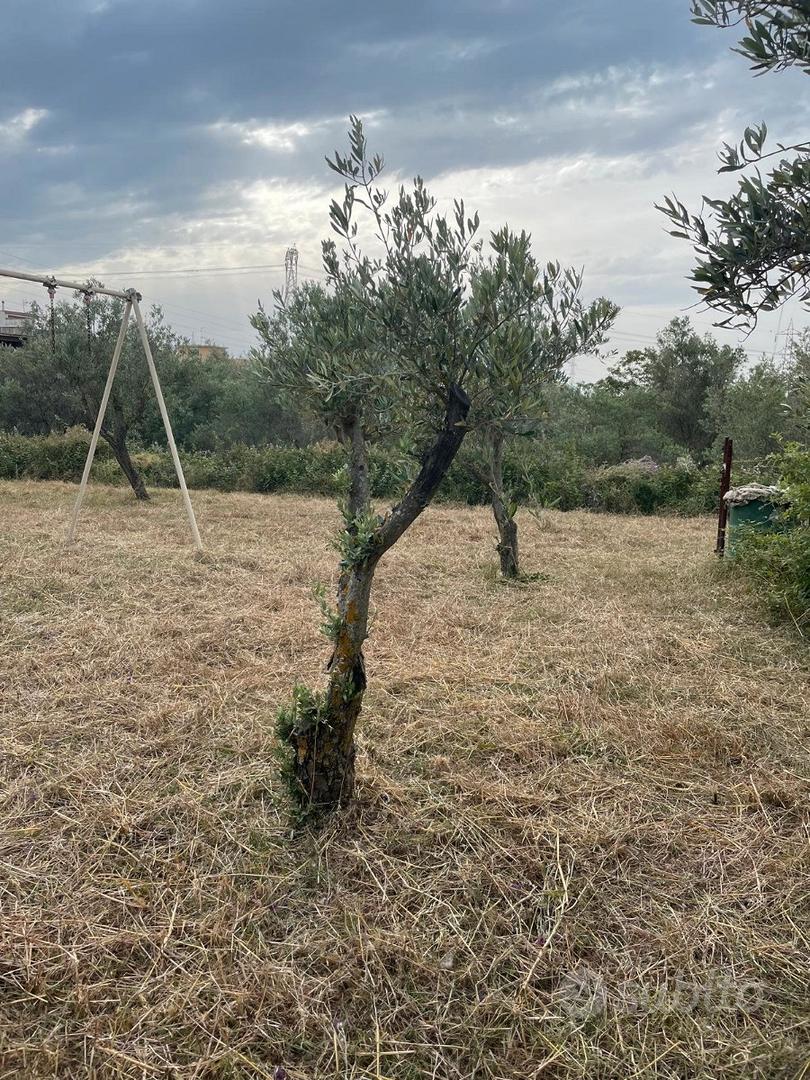 Terreno agricolo .CATTAFI - Vista 4