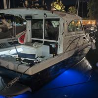 Barca da pesca Plastik Space 310