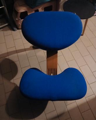 Sedie ergonomiche