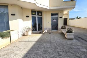 Negozio Copertino [CO 323VCG]