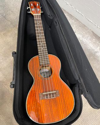Ukulele Concerto Kahuna (KUC30S-Y-C) + Custodia