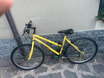 Mountain bike