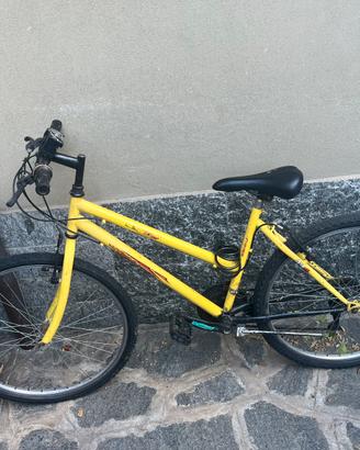 Mountain bike