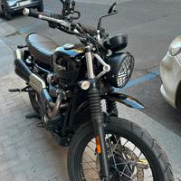 Triumph scrambler 900