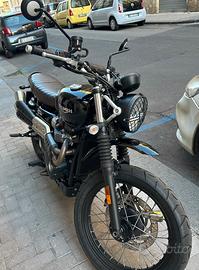 Triumph scrambler 900