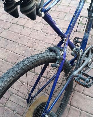mountain bike bianchi
