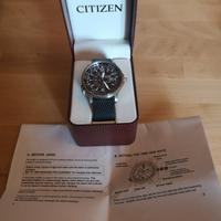 citizen nighthawk