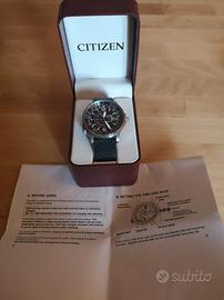 citizen nighthawk