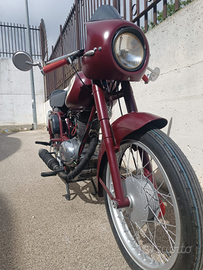 Gilera Giubileo 98 extra cafè racer