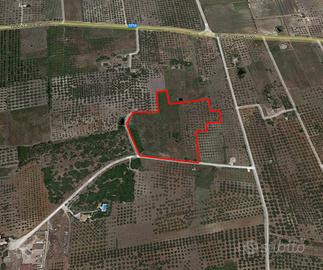 Castelvetrano Terreno Agricolo