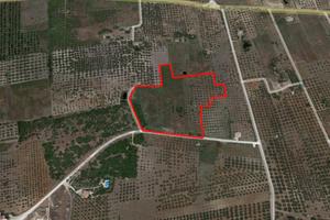 Castelvetrano Terreno Agricolo