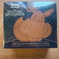 Set Allenatore Fuoriclasse Spada e Scudo Destino S