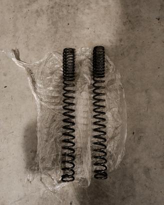 Molle forcella anteriore Honda Crossrunner