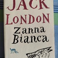 Libro narrativa per ragazzi genere avventura 