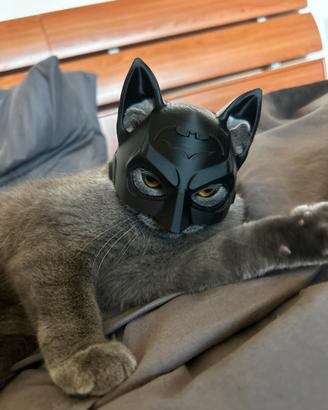 Maschera gatto o cane stile BATMAN