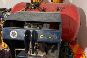 Compressore per raccolta olive