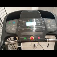 Tapirulan pari al nuovo