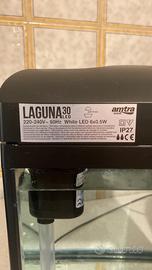 Acquario 18 litri con luce e filtro – €35