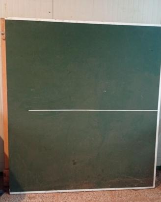 Tavolo da ping pong