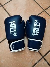 guanti da boxe