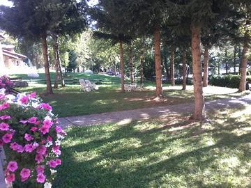 Limone settimane,si animali, posto auto
