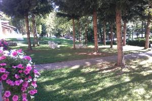 Limone settimane,si animali, posto auto