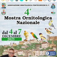 Mostra Ornitologica