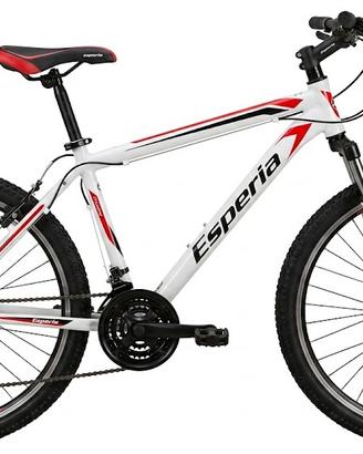 Bicicletta Esperia