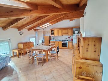 X studentessa: ultimo posto in mansarda in centro