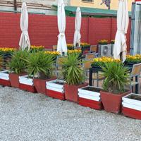 Vendita immobile + licenza commerciale