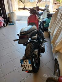 LEONICINO BENELLI 500