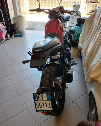 LEONICINO BENELLI 500