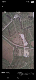 Terreno agricolo Solarussa
