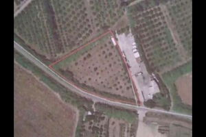 Terreno agricolo Solarussa