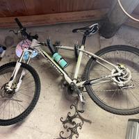 Cannondale SL4 trail