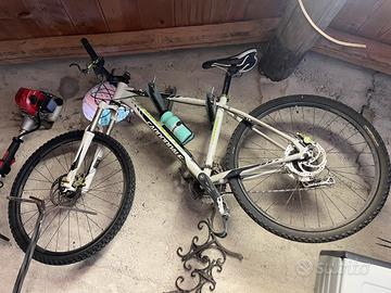 Cannondale SL4 trail