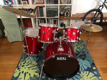 Batteria Natal DNA