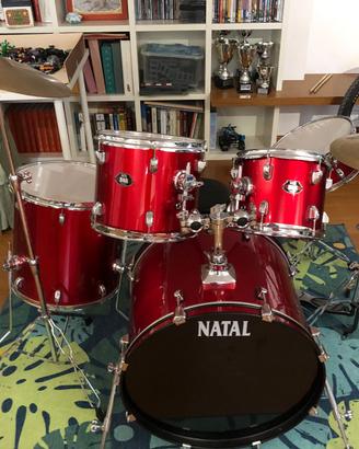 Batteria Natal DNA