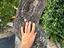 Immagine 4